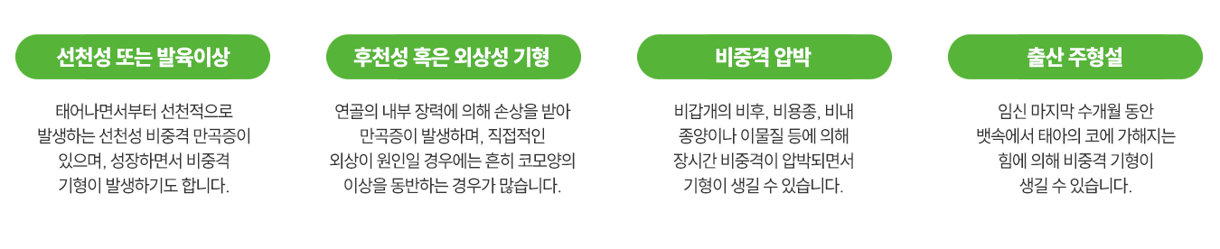이미지명